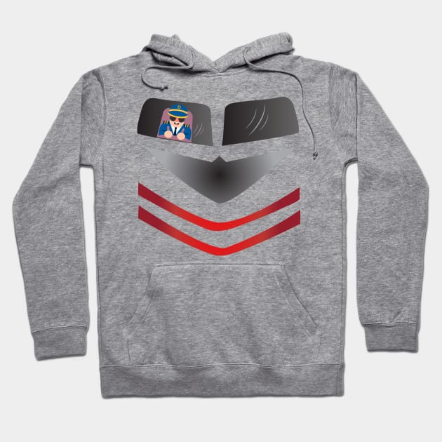 Airplanes Gift For Pilot Hoodie by macshoptee